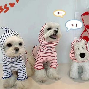 Vêtements pour chiens Accessoires pour animaux de compagnie Vêtements pour chiens de taille moyenne Petits vêtements à capuche South Dorea Manteaux d'automne