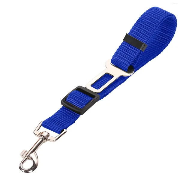 Vêtements pour chiens Accessoires pour animaux de compagnie pour petits chiens Pull Fournitures Corde alimentaire Ceinture Service Accessoire Collier