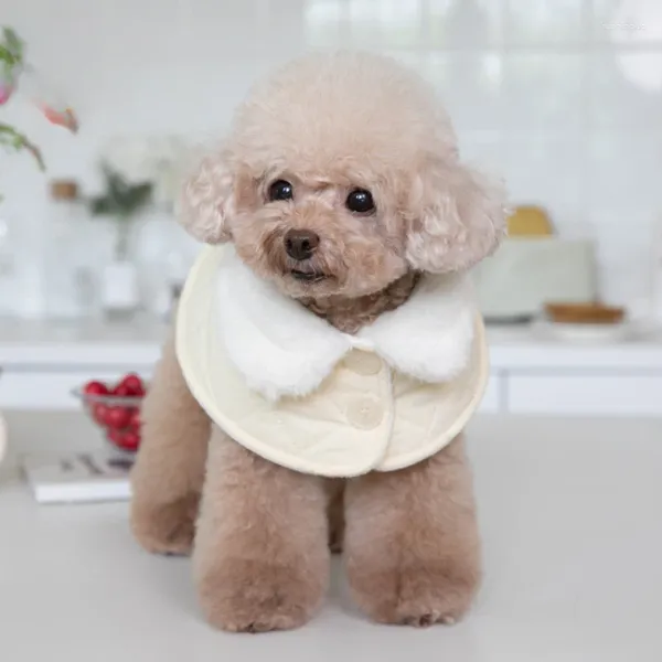 Ropa para perros mascota otoño invierno capa chal tirando lindo solapa abrigo ropa gato teddy cachorro ropa traje