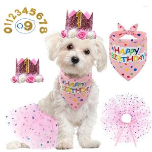 Hondenkleding huisdier verjaardag kroon jurk sjaal roze pak diy katten feestdecoraties kostuum hoofddeksels rekwisieten