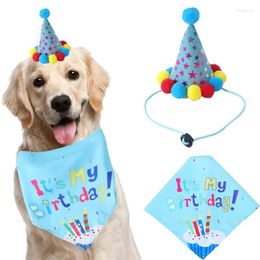 Ropa para perros maracina fiesta de cumpleaños vestimenta gorra y bufanda linda babero gato saliva toalla de pografía divertida accesorios de regalo de cachorro