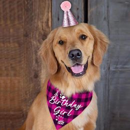Vêtements pour chiens, ensemble de fête d'anniversaire pour animaux de compagnie, chapeau, écharpe triangulaire, accessoires de décoration de festival féminin, harnais rose mignon
