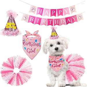 Vêtements pour chiens Fête d'anniversaire pour animaux de compagnie Ensemble jupe chapeau noeud papillon pour chiens cadeaux produits de célébration fournitures tous les animaux de compagnie chiot chats en gros