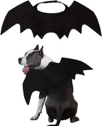 Appareils pour chiens Pet Cat Bat Wings Halloween Cosplay Bats Costume Costume Pites pour chats chaton chiot petit moyen moyen grand chiens A973001870