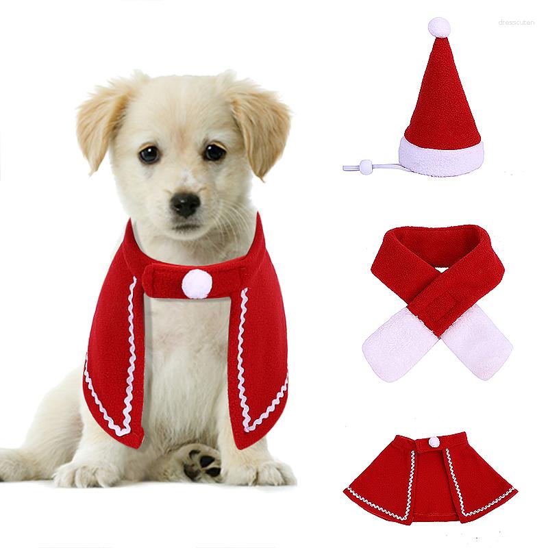 Vestuário para cães, gato, pelúcia, chapéu de Papai Noel, manto, cachecol, para animais de estimação, gatinho, filhote, bonés, coleira, roupas de veludo, roupas, traje de cosplay