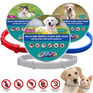 Vestuário para cães Pet Cat Coleiras Veterinárias Anti Flea e Tick Collar para Gatos Cães Anti Parasita Colar Grande Pequeno Produtos 231128