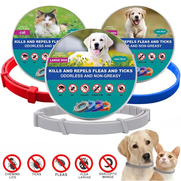 Vêtements pour chiens Colliers de chat pour animaux de compagnie Collier anti-puces et anti-tiques vétérinaire pour chats Chiens Collier antiparasitaire Grands petits produits 231128