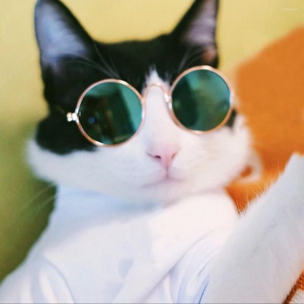 Vêtements pour chiens verres de chat pour animaux belles lunettes de soleil des yeux