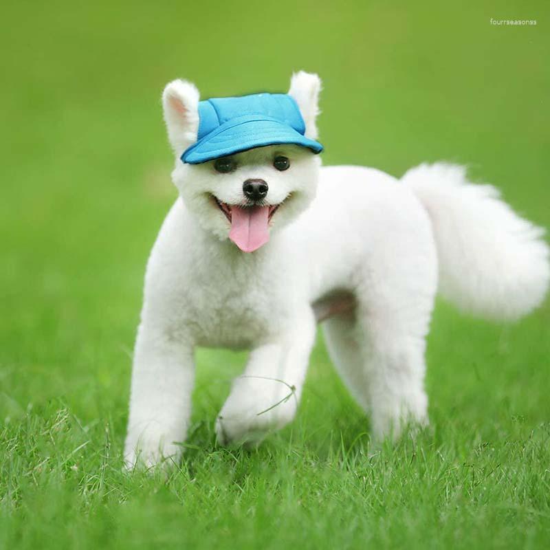 Cão vestuário pet gato chapéus ao ar livre sunbonnet para presentes de aniversário cachorrinho mini boné sólido boné de beisebol drop