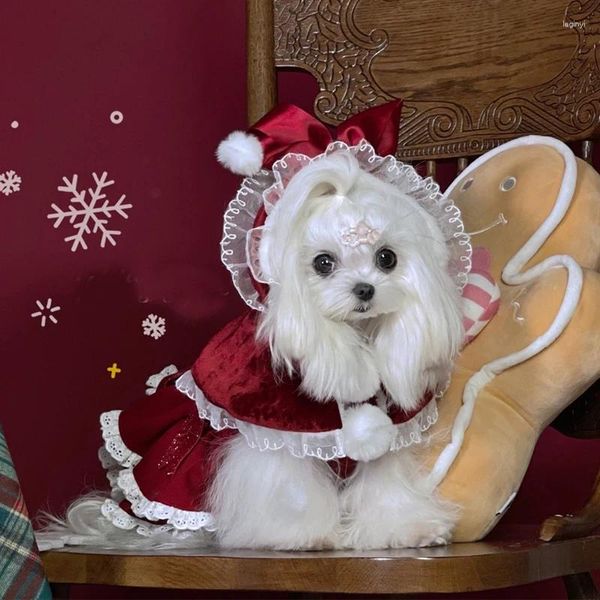 Vêtements de chien Vêtements de Noël pour animaux de compagnie Mode Manteaux de manteau rouge pour joli chiot Chats Vêtements Princesse Filles Manteau Tenues Yorkshire