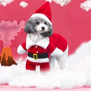 Vêtements pour chiens vêtements de Noël de Noël