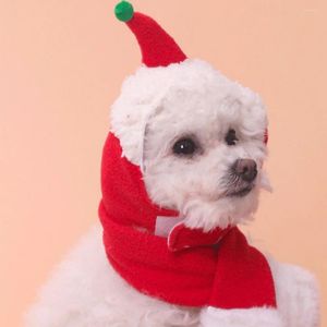 Appareils pour chiens Pet Christmas Set Thermal Kit Accessoires pour animaux de compagnie Chapeaux Écharpe chaude Charpes à la maison Puppy