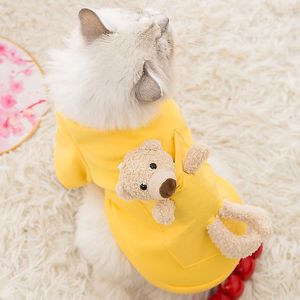 Chien vêtements vêtements pour animaux de compagnie automne hiver chaton chiot Costume mignon poupée décoration pull chaud moyen petit chat pull caniche Yorkshire