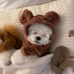 Vêtements pour chiens vêtements pour animaux de compagnie automne hiver moyen petit chien gilet chaud mignon chapeau manteau en peluche Chihuahua chaton chiot mode veste Yorkshire caniche 230613