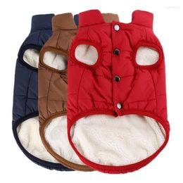 Abbigliamento per cani Abbigliamento per animali domestici Bottone Cappotto caldo imbottito in cotone Giacca Gilet Gatto Outdoor Peluche freddo Comodo piumino