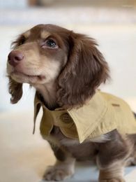 Hondenkleding Huisdierenkleding Mantel Trenchcoat voor Yorkshire Terrier Teckel Doberman Kleine Britse stijl Cape Windjackbenodigdheden
