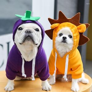 Ropa para perros, ropa para mascotas, sudaderas con capucha de Cosplay para perros, ropa para gatos, estampado de berenjena de León pequeño, productos bonitos para primavera y otoño Chihuahua 2023