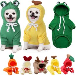 Hondenkleding huisdier kleding honden capuchon sweatshirt fruit warme jas katten trui koud weer kostuum voor puppy kleine medium grote 230814
