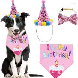 Hondenkleding huisdierkleding voor grote honden verjaardag bandana sjaal en meisjesjongen feest hoed met schattige vlinderdas klein