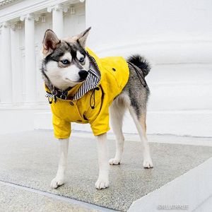 Vêtements pour chiens vêtements pour animaux de compagnie pour chiot veste imperméable imperméable Sport sweats à capuche vestes petit chat Teddy imperméable