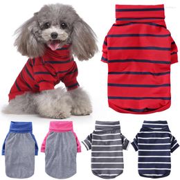 Vêtements pour chiens vêtements pour animaux de compagnie pour petits chiens chat vêtements col haut sweats à capuche chaud chiot Chihuahua Costume manteau tenue