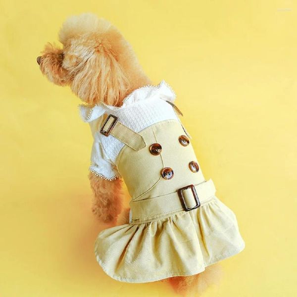 Vêtements pour chiens Vêtements pour animaux de compagnie pour printemps été mince trench-coat princesse robe deux styles vêtements avec bouton chiot amoureux costume