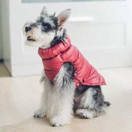 Vêtements pour chiens Vêtements pour animaux de compagnie pour l'hiver manches vers le bas manteau petites races moyennes double couche garder au chaud anti-mouillage imperméable coupe-vent