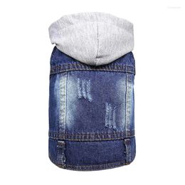 Vêtements pour chiens vêtements pour animaux de compagnie jeans veste cool en coulée en jean bleu cool avec capuche à capuche pour chiots vêtements pour petits chats de chiens moyens