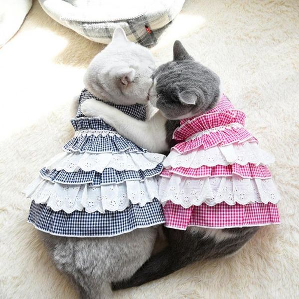 Vêtements pour chiens Vêtements pour animaux de compagnie Jupe pour chiot Robe de princesse pour chat Décoration Medium All-Kitty Pography Outfits