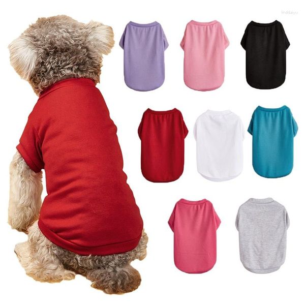 Vêtements pour chiens vêtements pour animaux de compagnie col rond couleur unie sweat décontracté printemps et été plaine Teddy Vip chat T-shirt