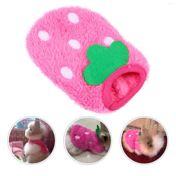 Vêtements pour chiens Vêtements pour animaux de compagnie Petit gilet Débardeur Costume de cochon d'Inde Corail Fleece Boy Sweats à capuche pour garçons