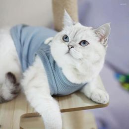 Vêtements pour chiens vêtements pour animaux de compagnie printemps et été bleu trois chats en peluche couleur