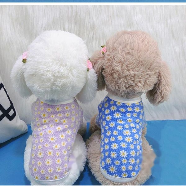 Ropa para perros Ropa para mascotas Primavera Otoño Moda Camisa para gatos Pequeño Lindo Abrigo de flores Cachorro Dulce Diseñador Pijamas Yorkshire Chihuahua Poodle