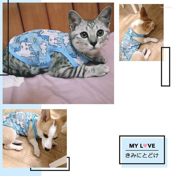 Vêtements pour chiens Vêtements pour animaux de compagnie Robe de printemps Sweat-shirt mince Respirant Protection solaire Vêtements Gilet Costume de chat en gros