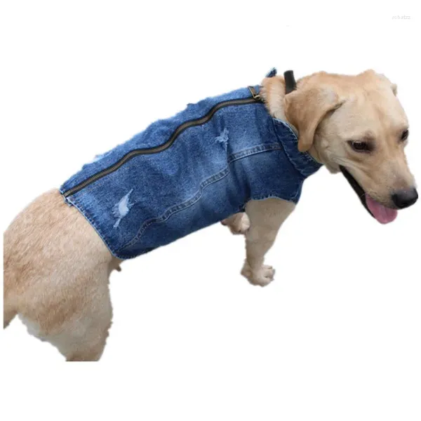 Vêtements pour chiens Vêtements pour animaux de compagnie Printemps Été Automne et hiver Pit Bulls Vêtements de cheveux dorés Gilets en denim brossé