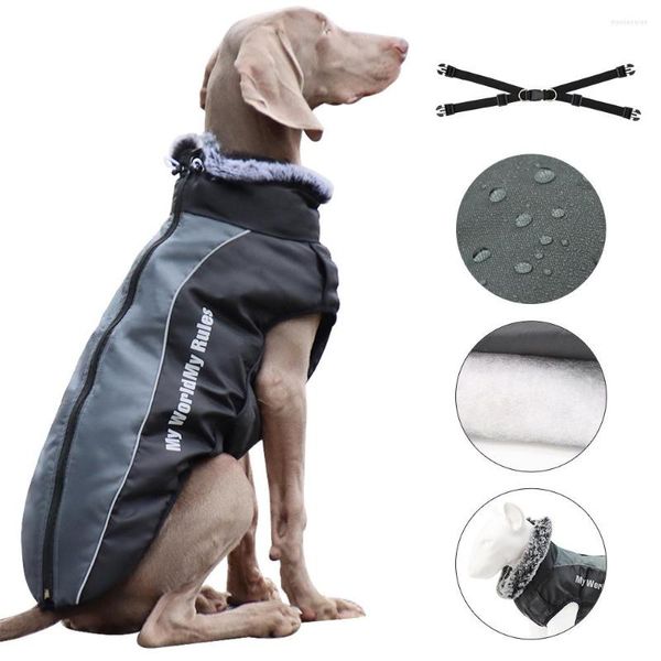 Vêtements pour chiens vêtements pour animaux de compagnie imperméable grand manteau hiver chaud vestes d'extérieur avec velours moyens grands chiens marche harnais vêtements