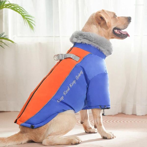 Ropa para perros Ropa para mascotas Cuello de piel de invierno Plus Terciopelo Espesado Ropa grande Moda Contraste Color Costura Abrigos de algodón cálido