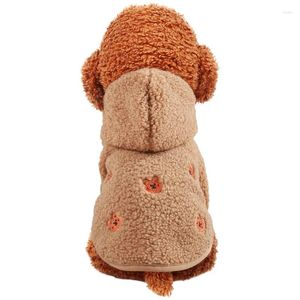 Vêtements pour chiens Vêtements pour animaux de compagnie Automne et hiver Chaleur portant des sweats à capuche sur les deux pieds Ours en peluche Motif brodé Veste à capuche en peluche d'agneau