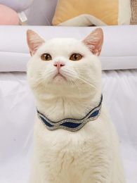 Hondenkleding Pet Collar Elastic Cat and Necklace Sieraden Multi-gekleurde kragen