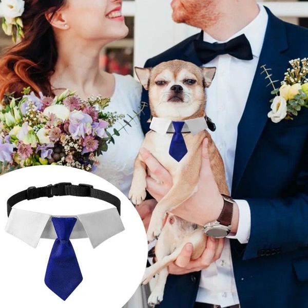 Vêtements pour chiens Collier pour animaux de compagnie Revers avec anneau en D Boucle réglable Polyester Cosplay Cravate Fournitures d'ornement