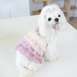 Vêtements de chien animal de compagnie coloré princesse pliped gâteau gradient mignon robe de mode de mode vêtements de créateurs vêtements