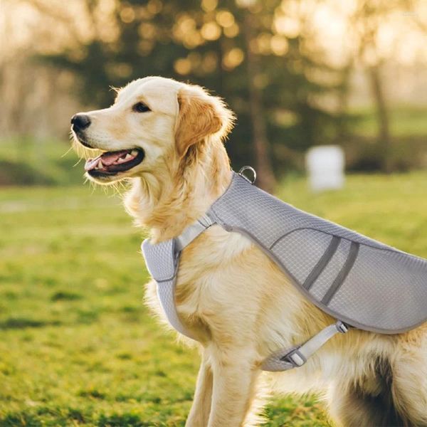 Juque de enfriamiento de mascotas de ropa para perros para perros chaqueta liviana reflectante de refrigeración rápida abrigo de verano ropa mediana y grande