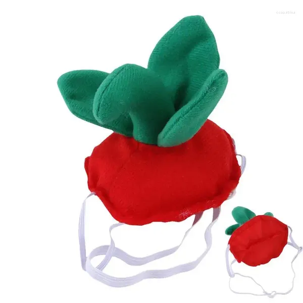 Vêtements pour chiens Costume pour animaux de compagnie Chapeau Chapeau de chat pour Halloween Décoration mignonne Chiots doux Chapeaux Lapins Chats et