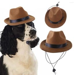 Hondenkleding huisdier cowboy hoed hoofddeksel westerse kat grappige huisdieren honden rekwisieten cosplay accessoires