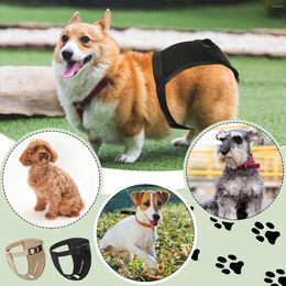 Pantalones para mascotas Pantalones fisiológicos Pantalones de protección ajustable
