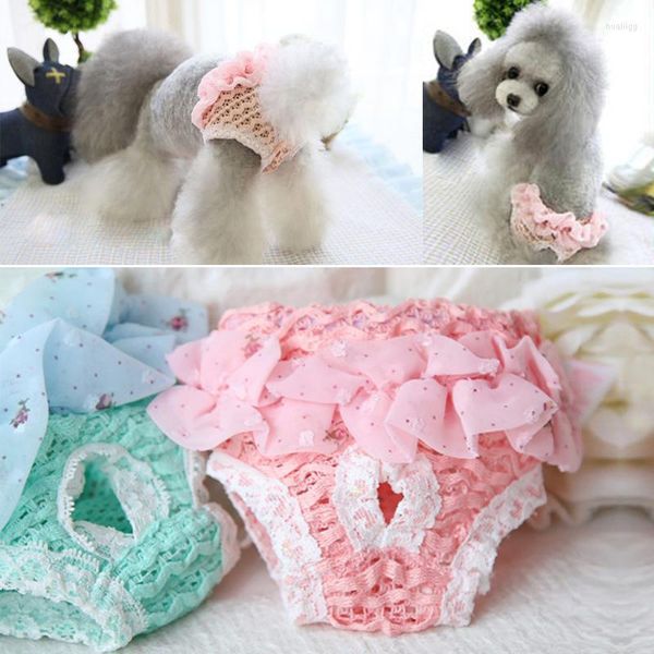 Vêtements pour chiens Couches pour animaux de compagnie Pantalons physiologiques Sous-vêtements en dentelle mignons Culottes sanitaires lavables Shorts menstruels pour animaux de compagnie Sous-vêtements pour animaux de compagnie