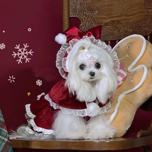 Hondenkleding Hond Kerstkleding Mode Rode Mantel Jassen Voor Mooie Puppy Honden Katten Kleding Prinses Meisjes Manteau-outfits Yorkshire 231030