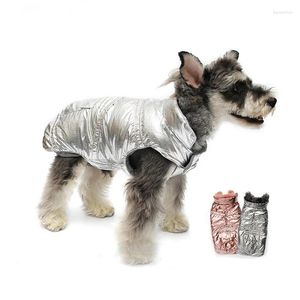 Hondenkleding huisdier honden jas kleding winterkleding warm voor groot kerst groot ontwerp futuristisch