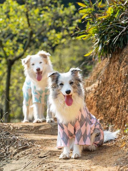 Ropa para perros, bolsa de ropa llave en mano para perros de compañía, utilizada para viajar, pijamas de verano frescos y finos de cuatro pies, transpirables que ocupan el hogar