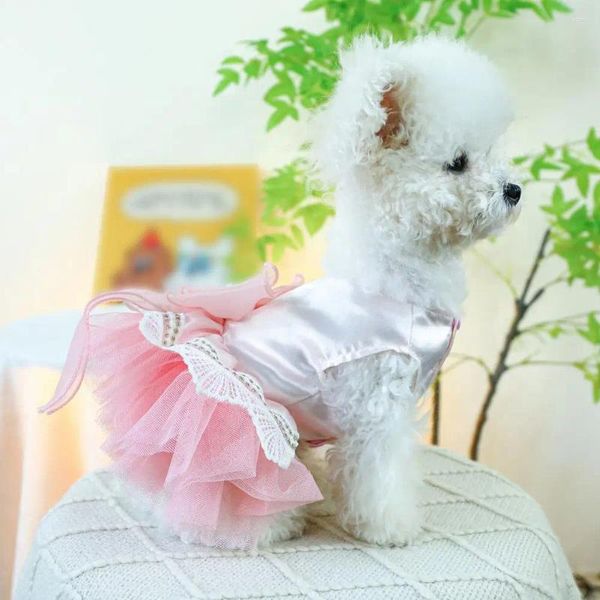 Robe d'animal de compagnie de vêtements pour chiens avec ramine de joie chic princesse en maille pour la mode